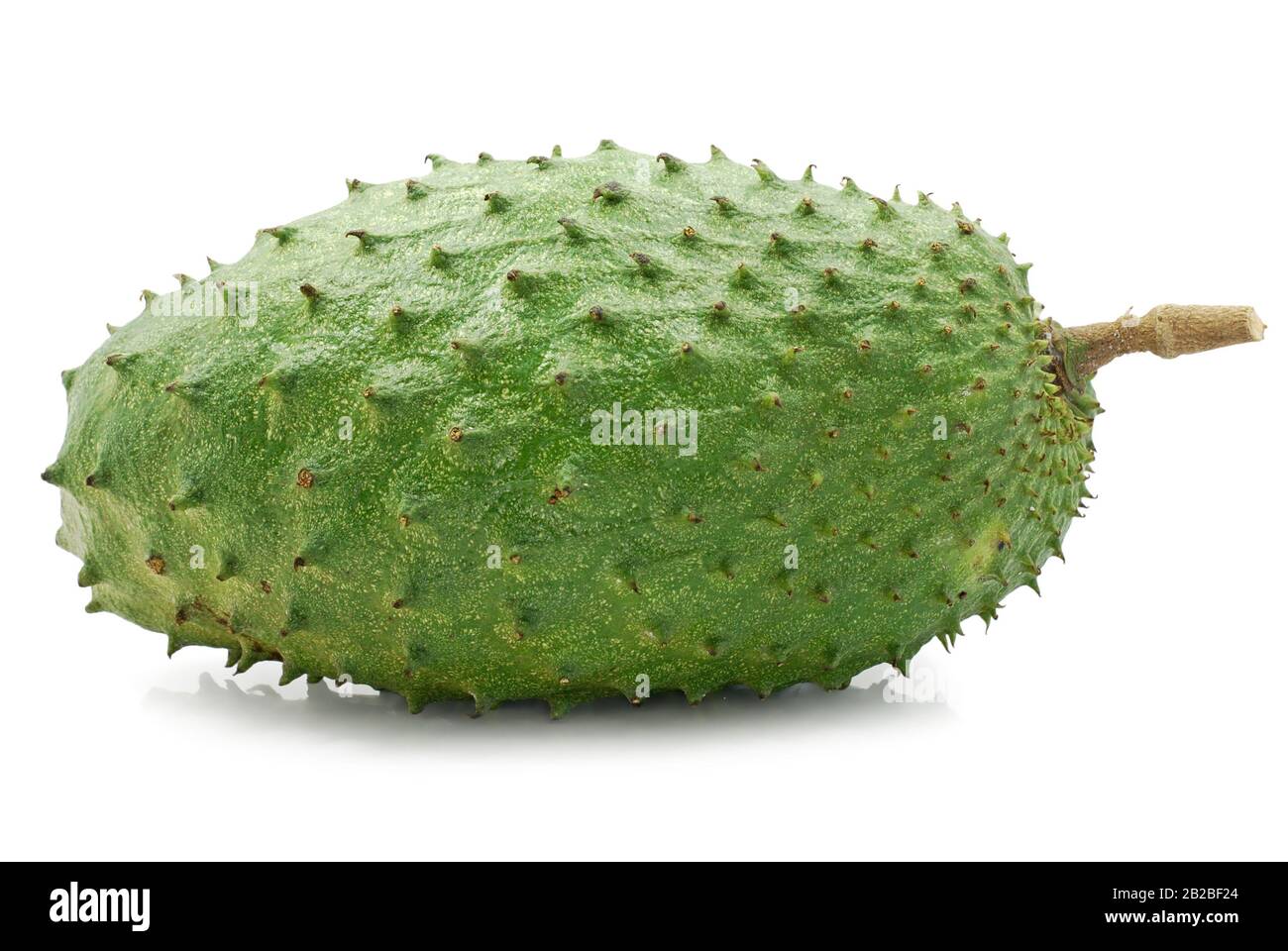 Soursop oder Custard apfelfrucht isoliert auf weißem Hintergrund Stockfoto