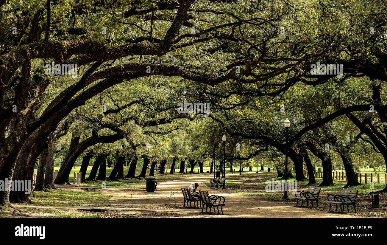 Ein Park in Houston Texas in den Vereinigten Staaten bietet einen ruhigen Ort im Herzen der geschäftigen, florierenden Stadt, in der Millionen leben und arbeiten. . Stockfoto