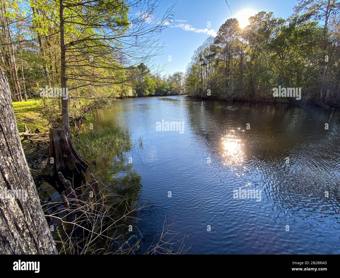 Withlahoochee River, Donnellon, Florida. Stockfoto