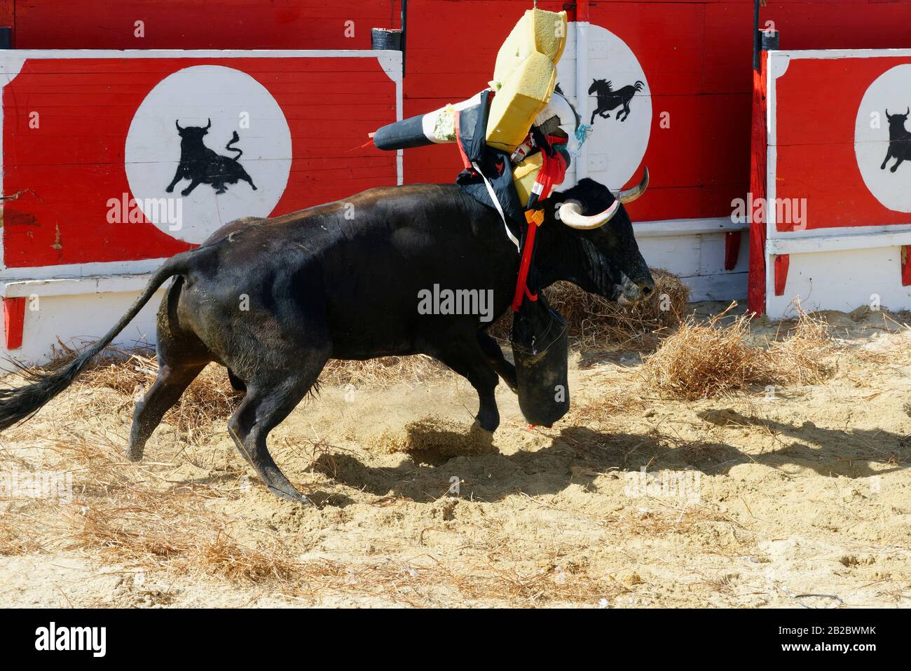 Straße Corrida während der Festas do Barrete Verde e das Salinas, Alcochete, Provinz Setubal, Portugal Stockfoto