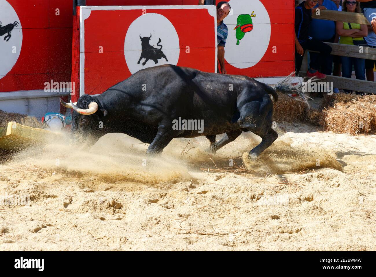 Straße Corrida während der Festas do Barrete Verde e das Salinas, Alcochete, Provinz Setubal, Portugal Stockfoto