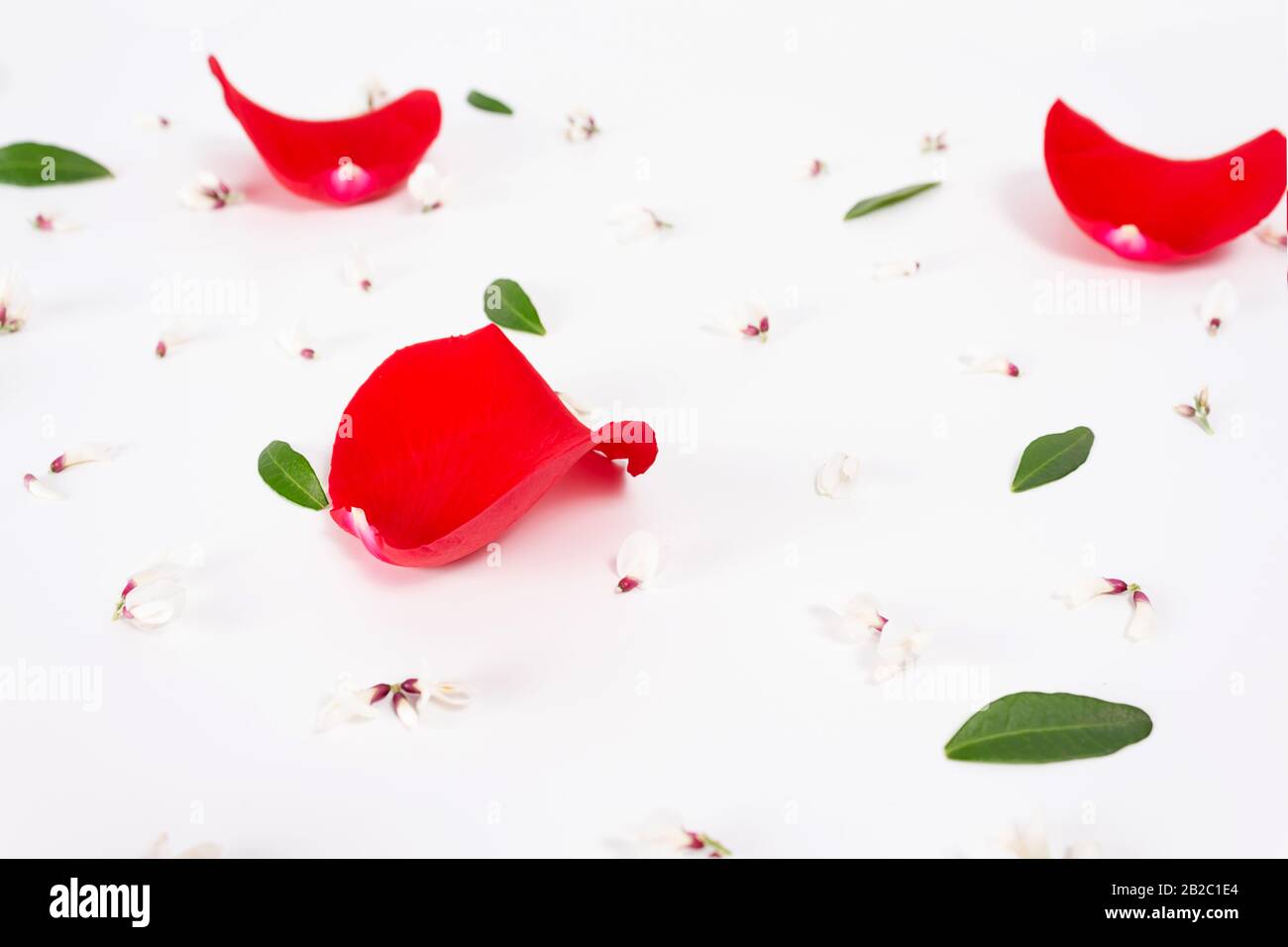 Erstaunliche kleine weiße Blumenknospen auf grauem Hintergrund mit Pistazien und Rosenblättern. Alternative botanische Pflanzenheilkunde Konzept. Flor Stockfoto