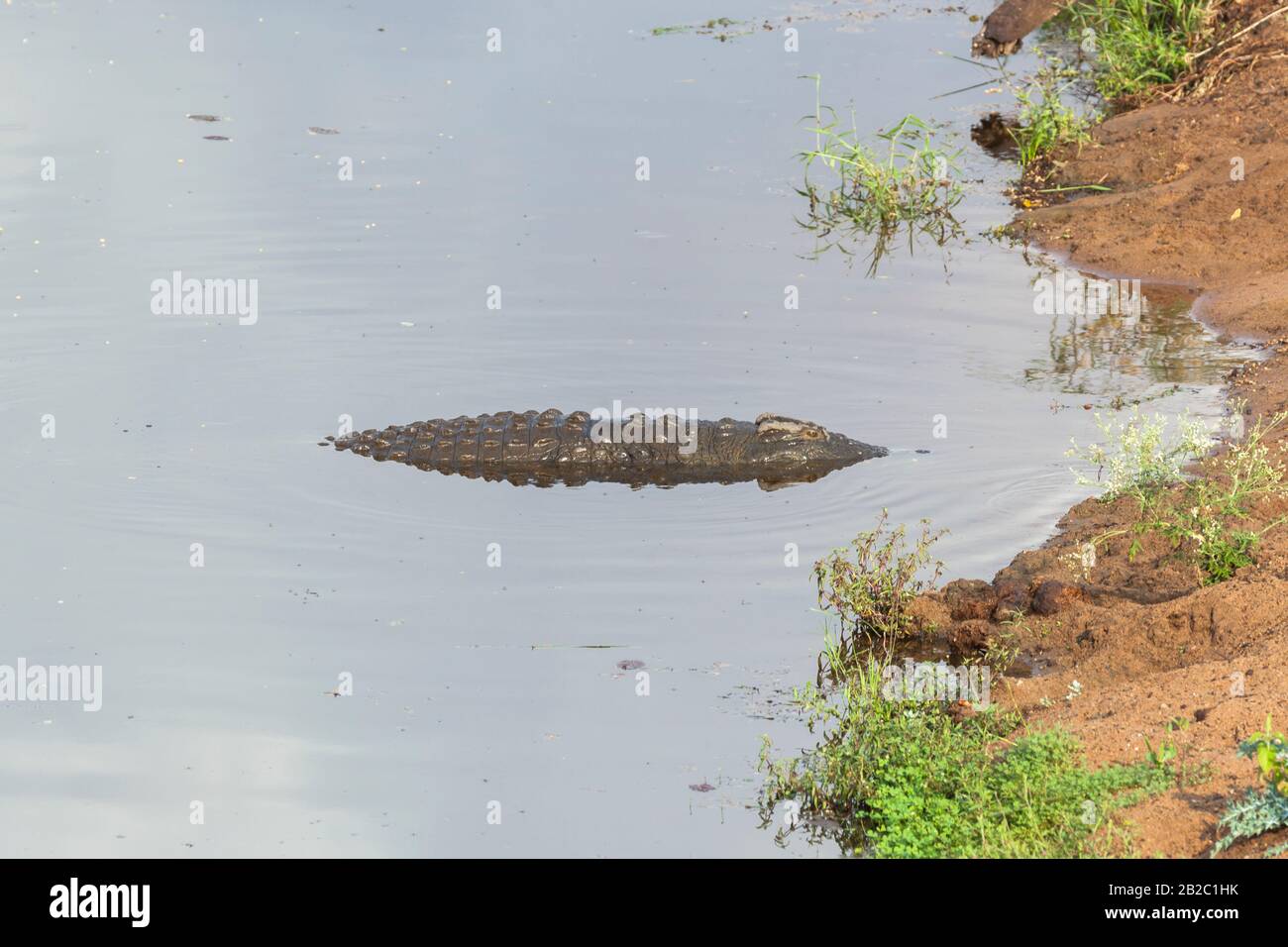 Afrika, Voyager Südafrika - 21, 30 agosto 2017 Stockfoto