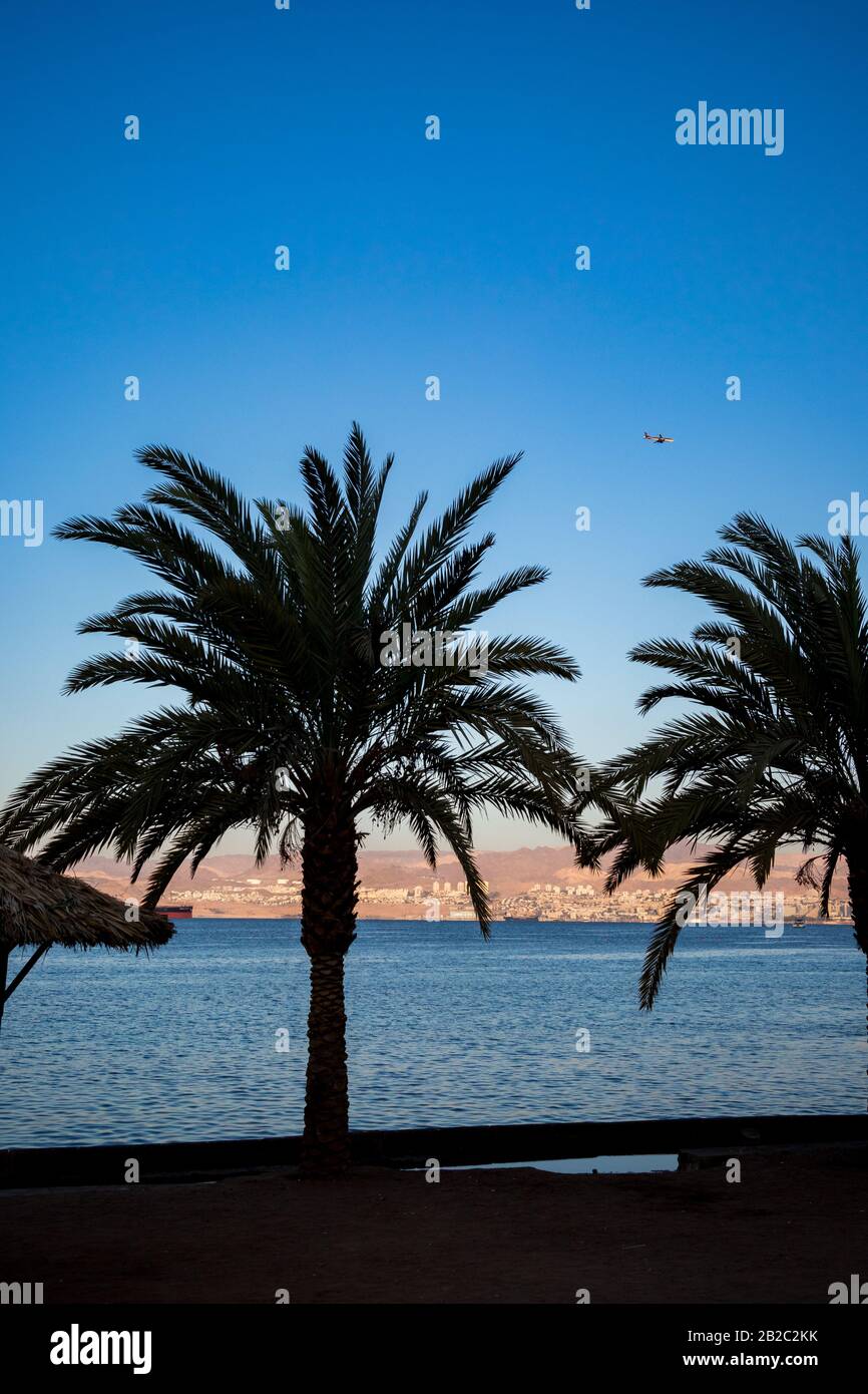 Aqaba, Jordanien, Schatten am Stadtstrand. Palm-Silhouetten. Sonnenaufgang von Ägypten und Israel, Winter klarer Himmel. Rotseegulf, Haschemitisches Königreich Jordanien. Fliegender Passagierjet in den Himmel Stockfoto