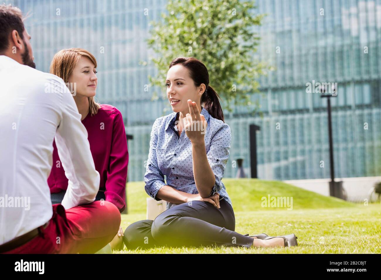 Geschäftsleute diskutieren Pläne, während sie im Freien auf dem Gras sitzen Stockfoto