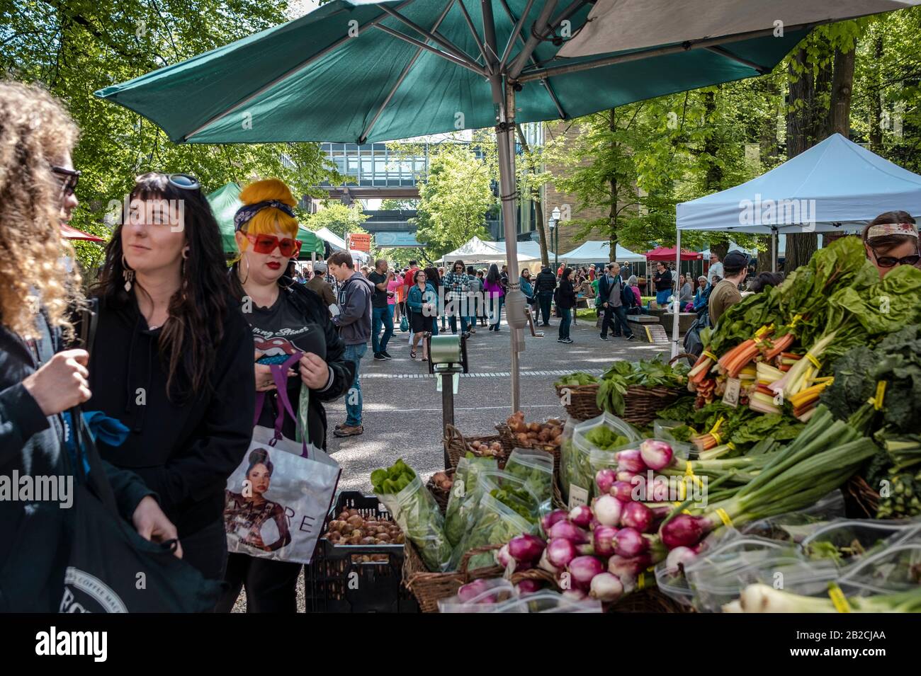 Portland Farmers Market - Shemanski Park. ist eine beliebte Mittagessen und Einkaufszentrum in der Innenstadt von Bewohnern, Büroangestellte, Touristen und lokalen che Stockfoto