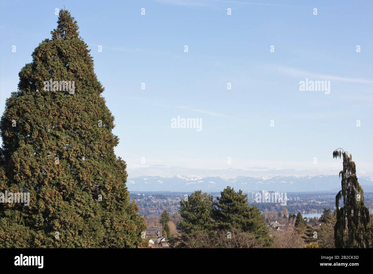 Blick auf Bellevue, Washington von Der Aussichtsplattform Volunteer Park Water Tower in Seattle, Washington, USA. Stockfoto