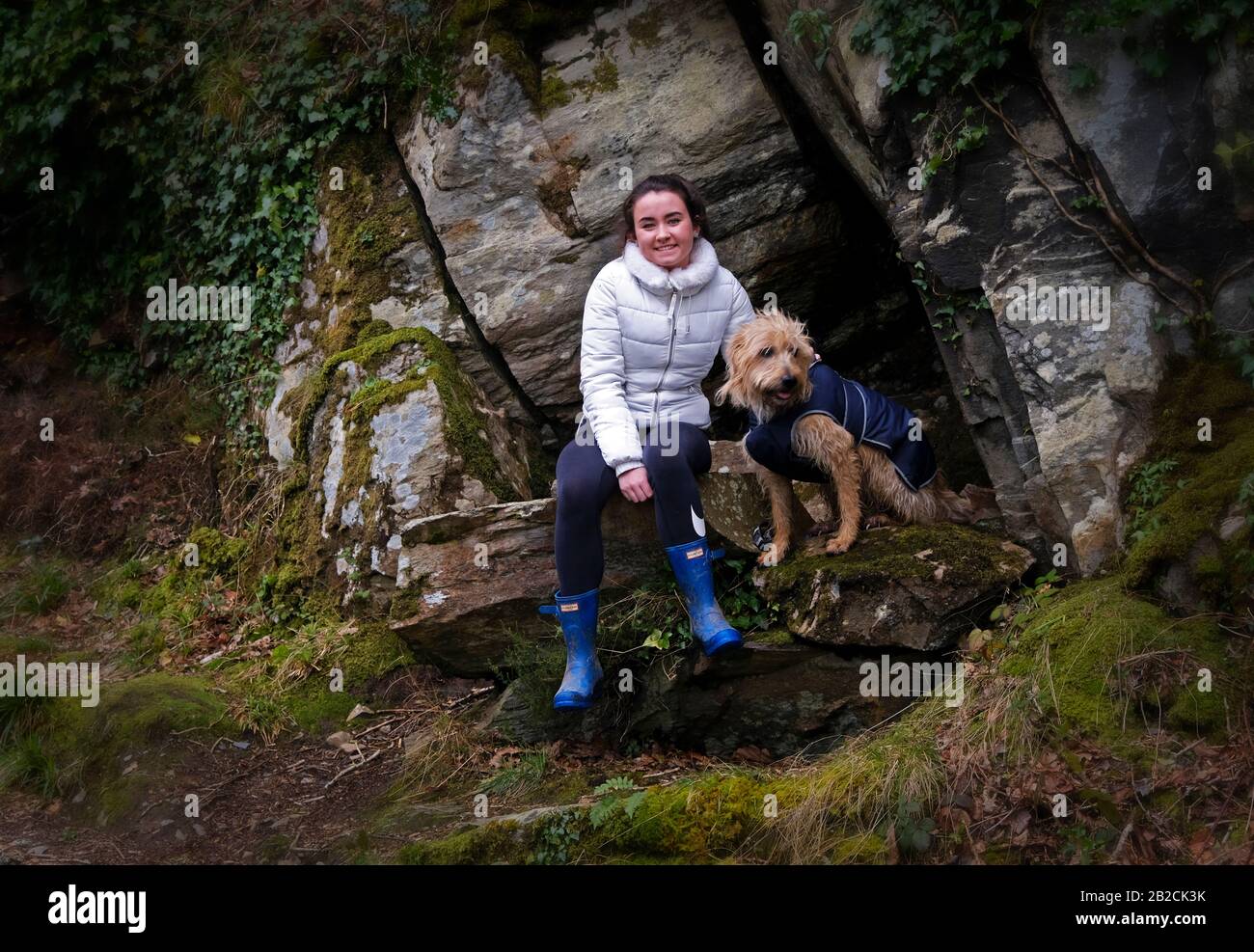 Mädchen und Hund In Rineen Woods bei Leap, West Cork Irland Stockfoto