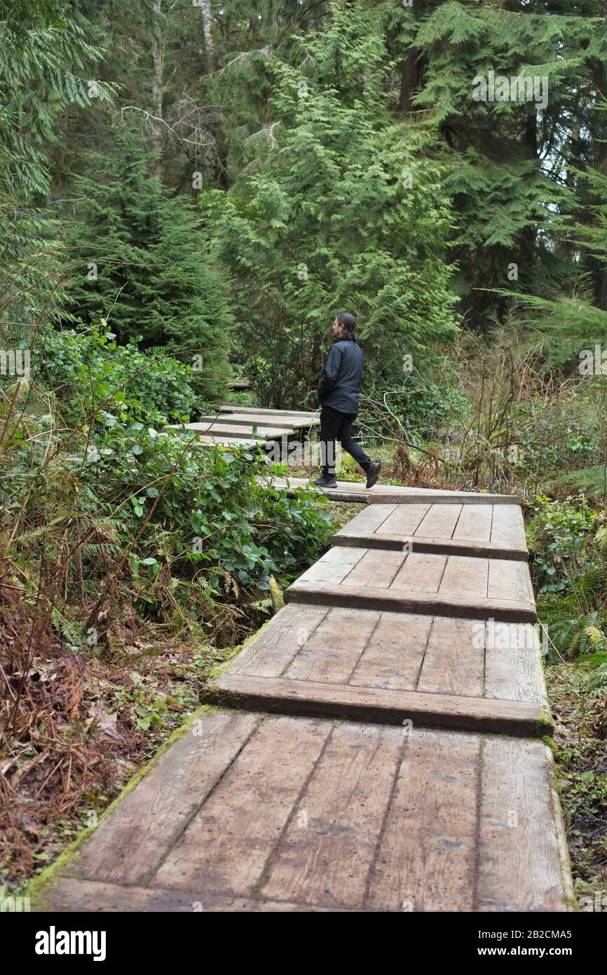 Ein Mann, der auf einem Weg im Bloedel Reserve auf Bainbridge Island, Washington, USA, spazieren geht. Stockfoto