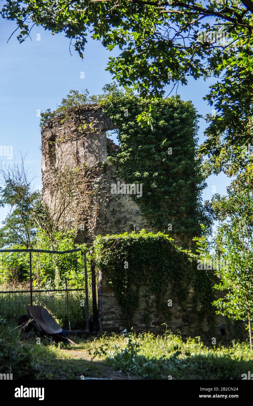 Burg Sayn im Westerwald. Stockfoto