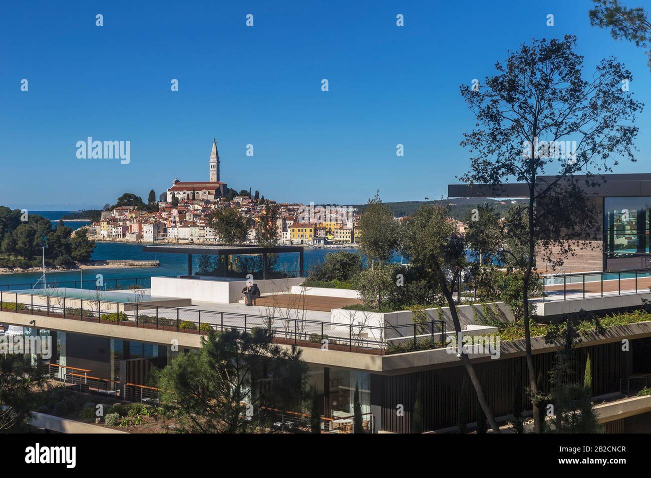 Rovinj, KROATIEN - 28. FEBRUAR 2020 - Unidentifizierte Falkenflüsterer sitzen auf der Terrasse des modernen und luxuriösen Grand Park Hotels im Hintergrund der Altstadt von Rovinj Stockfoto