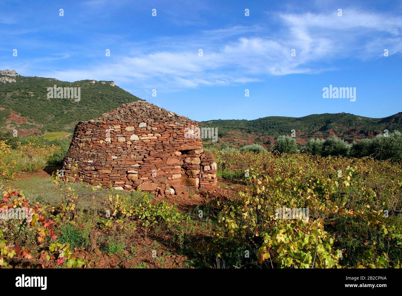 Trockene Steinhütte, Kapitelle, Weinstock, rustiziere Landschaft Saint Jean de la Blaquiere, Occitanie France Stockfoto