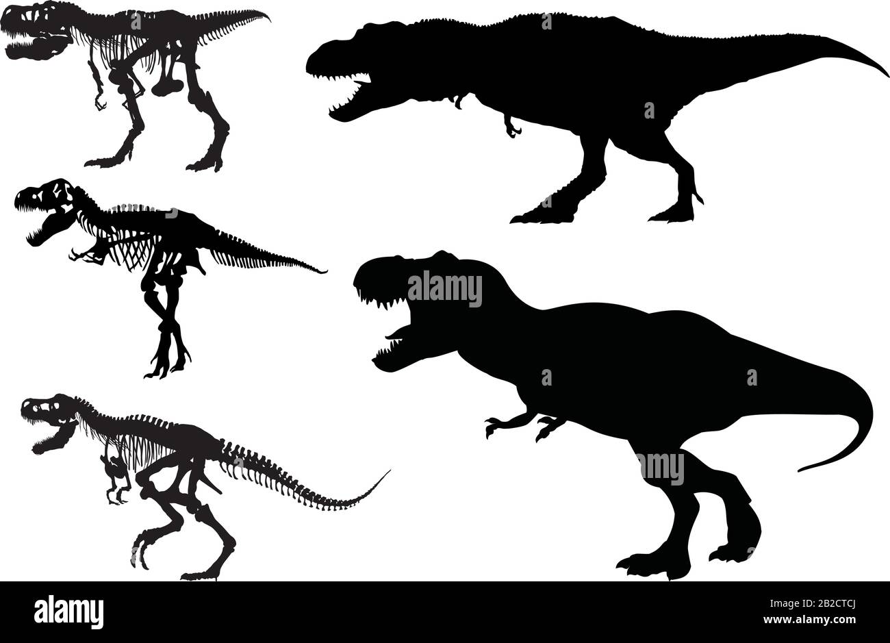 Silhouette von Tyrannosaurust rex und Vektorskelett Stock Vektor