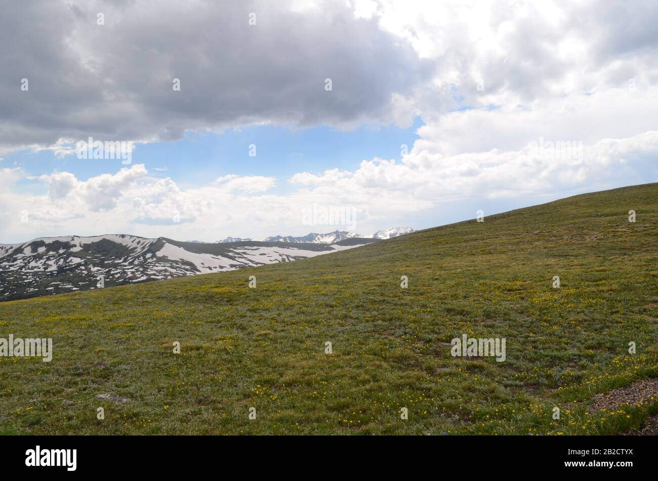 Sommer im Rocky Mountain National Park: Alpine Tundra mit den Never Summer Mountains in der Entfernung Von der Trail Ridge Road in der Nähe des Iceberg Pass Stockfoto