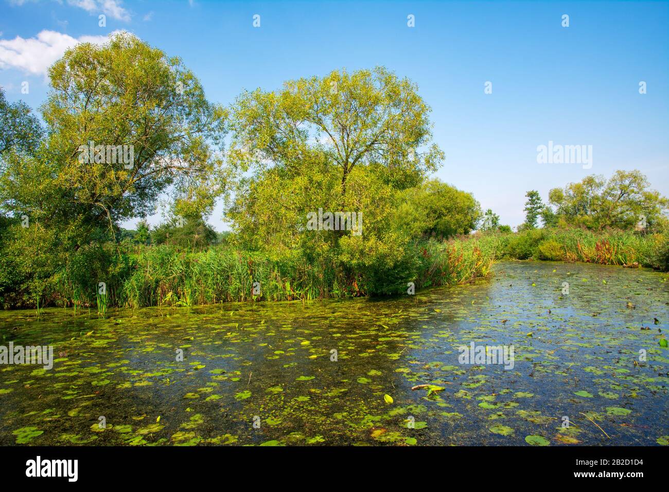 Teich in einer ländlichen Landschaft genannt (Goachat Schrobenhausen, Deutschland) Stockfoto