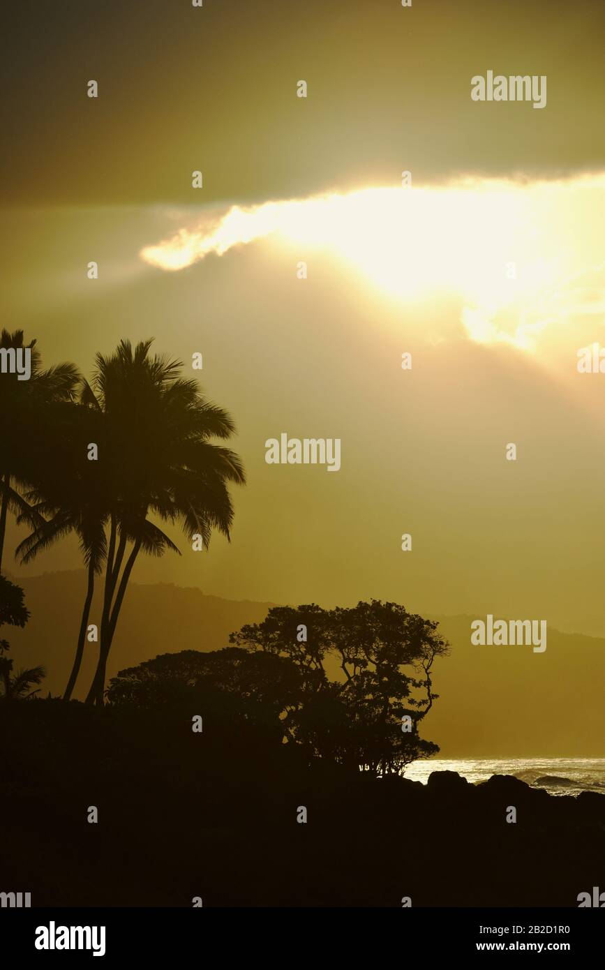 Dramatischer Sonnenuntergang, mit durchdringenden Wolken von Sonnenstrahlen, silhouettierten Palmen an der Küstenlinie am Nordufer von Oahu, Haleiwa, Hawaii, USA Stockfoto