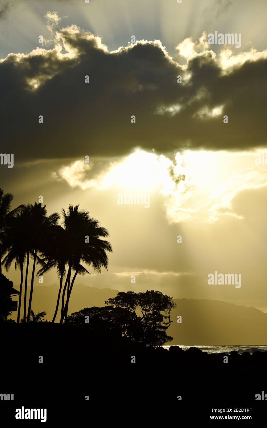 Dramatischer Sonnenuntergang, mit durchdringenden Wolken von Sonnenstrahlen, silhouettierten Palmen an der Küstenlinie am Nordufer von Oahu, Haleiwa, Hawaii, USA Stockfoto
