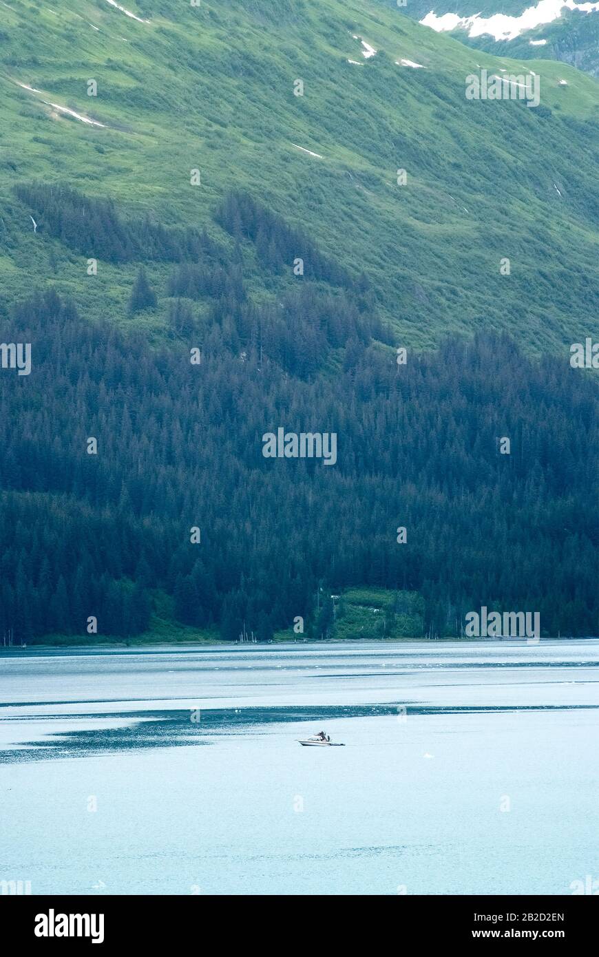 Kleines Boot, Das Durch Den College Fjord In Alaska Führt Stockfoto