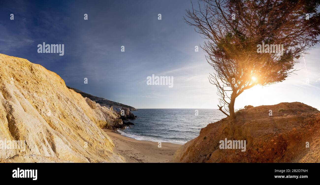 Fantastischer Sonnenuntergang auf der Insel Milos. Sandiger Strand und sanfte Meeresbrandung in der ägeischen Meere. Einsamer Baum wächst auf farbenfrohem Felsen. Abendsonne in Brunch und Laub Stockfoto