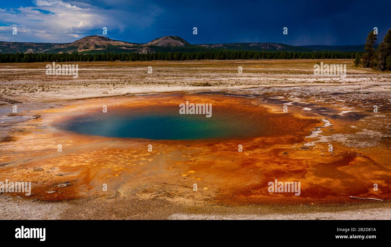 Opal Pool ist eine heiße Quelle im Midway Geyser Basin des Yellowstone National Park Stockfoto