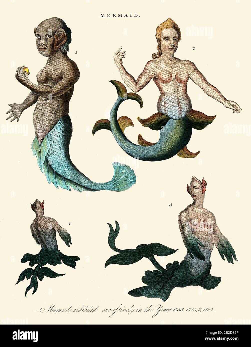 Drei Mermaiden Stockfoto