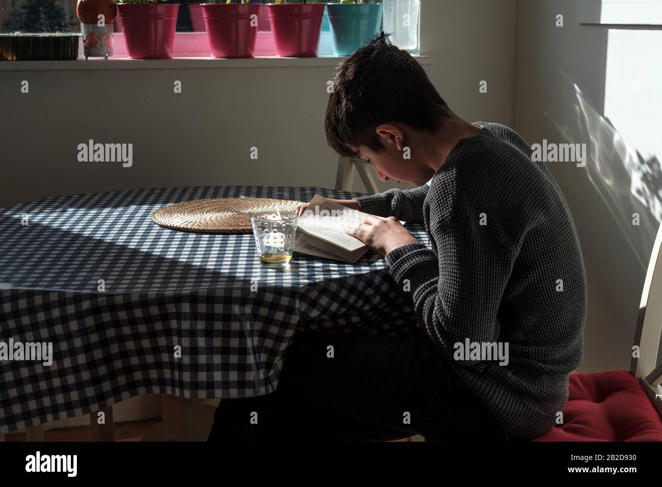 Junge, 12 Jahre alt, liest zu Hause ein Buch Stockfoto