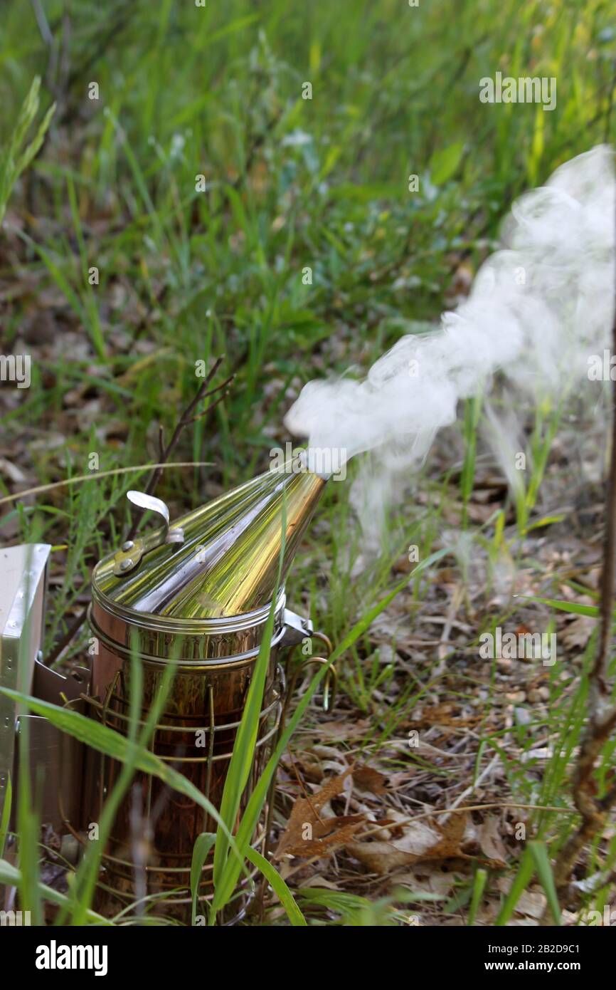 Raucher für die Arbeit von Honigbienen, die wegrauchen Stockfoto