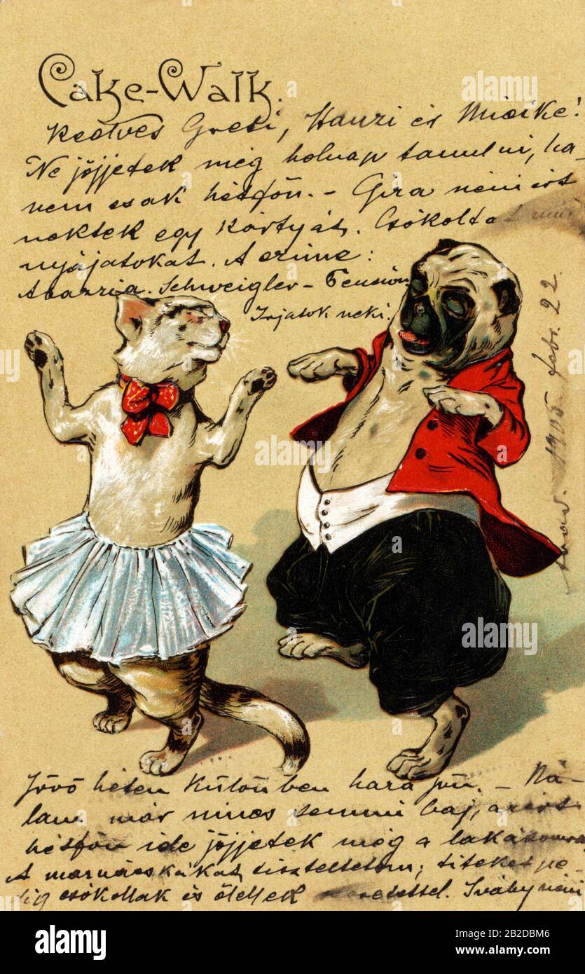 Kuchenwanderung Stockfoto