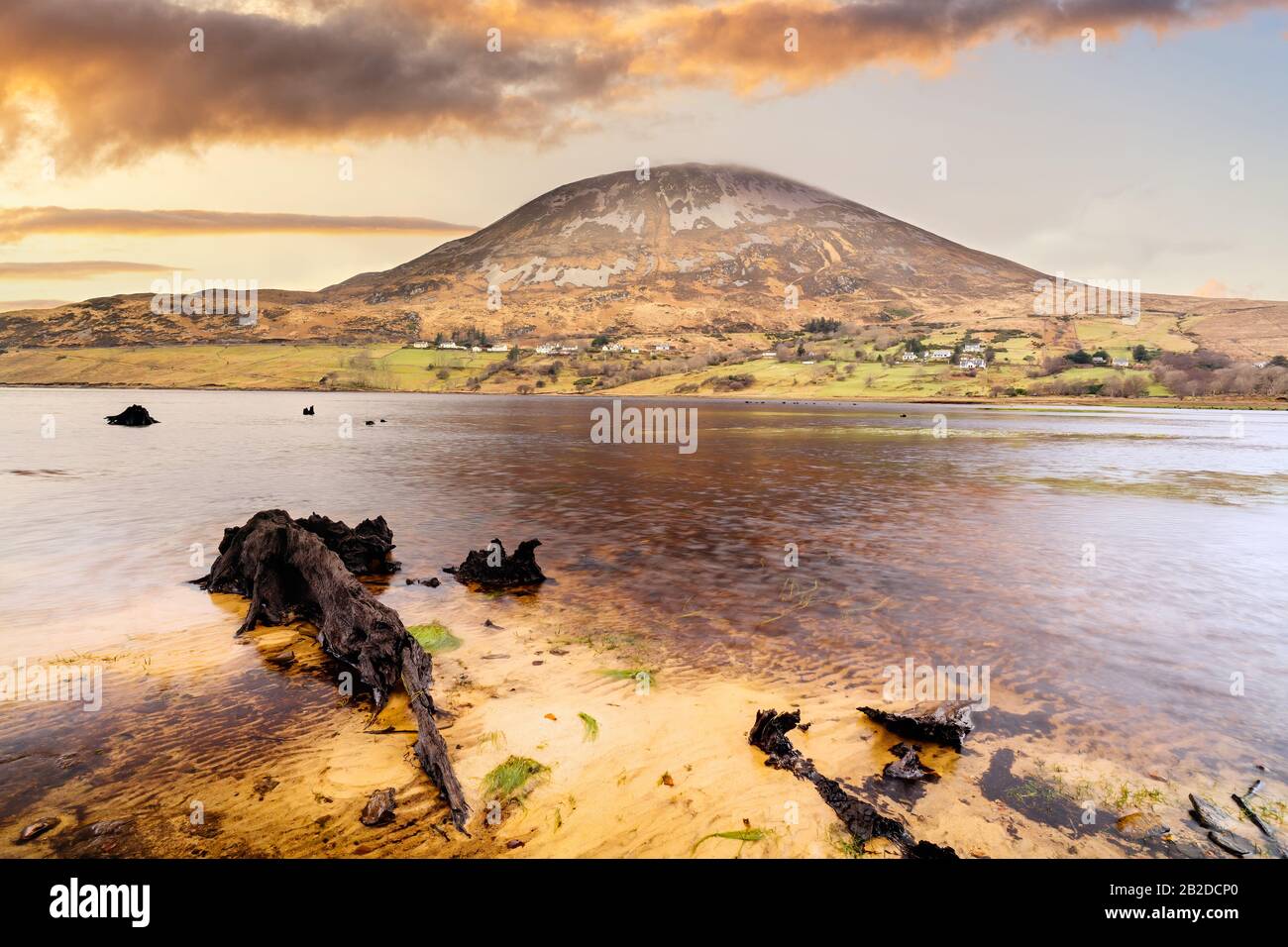 Verdrehte Baumstämme im Dunlewy-See mit Blick auf den Errigal-Berg bei dramatischem Sonnenuntergang, County Donegal, Irland Stockfoto