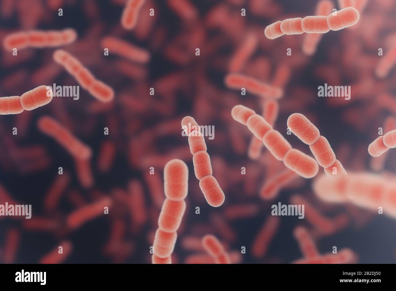 Streptococcus Pneumonie rote Zellen. 3D-Renderhintergrund Stockfoto