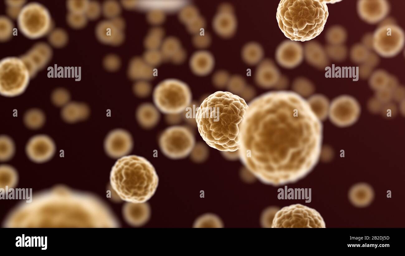 Mikro-Organismen Bakterienzellen, Wissenschaft und Medizin Hintergrund. 3D-Rendering Stockfoto