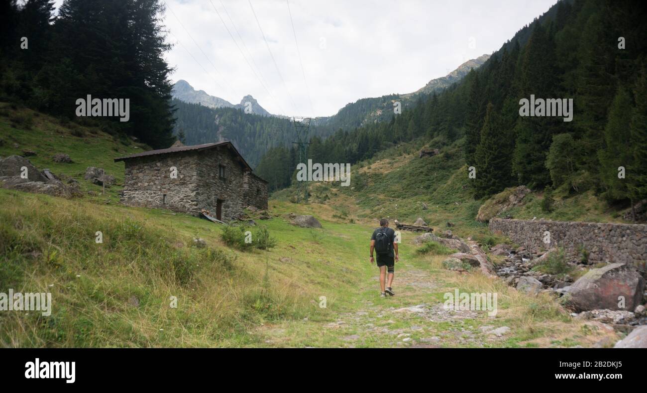 Wandern für die Gesundheit auf dem Naturpfad der Aurope alps Stockfoto
