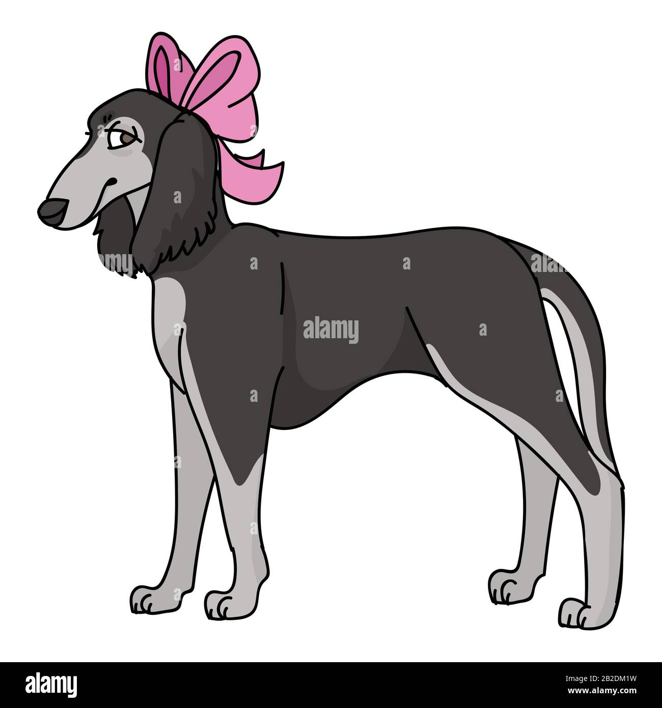 Susser Zeichentrick Saluki Hund Mit Girliger Bogenvektor Clipart Stammbaum Zwingerdoggie Rasse Fur Hundefreunde Reinrassige Haus Illustration Fur Haustierzimmer Stock Vektorgrafik Alamy