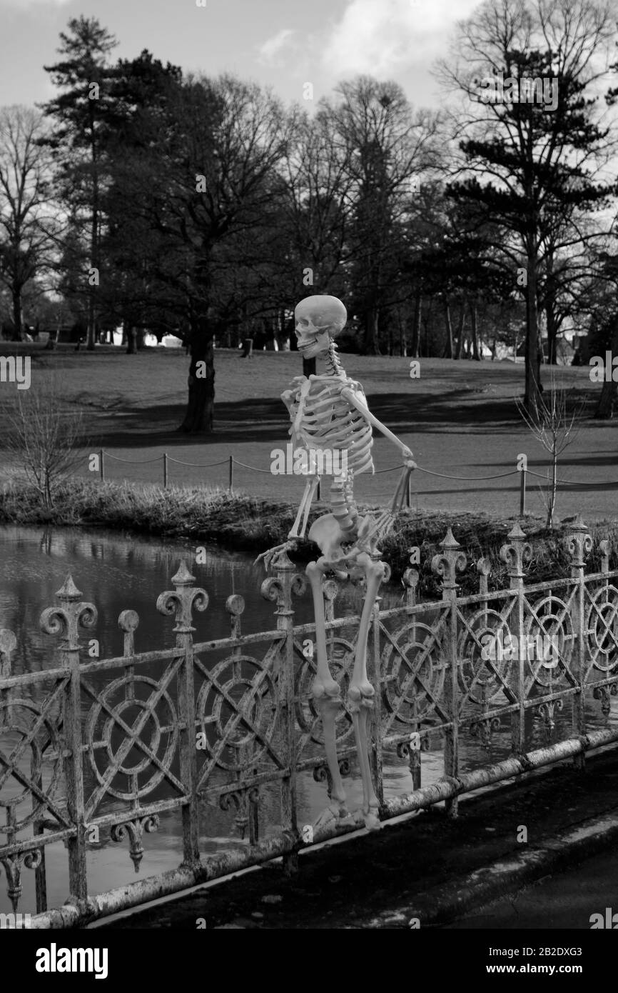 Ein Skeleton stand auf einer Brücke, Droitwich Spa, Worcester, Großbritannien, 02/03/2020, Skeleton stand auf einer Brücke, Spaß für halloween ideal für Poster a Stockfoto