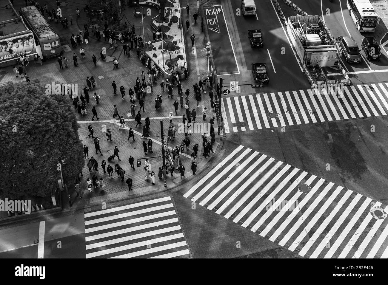 Ein Schwarz-Weiß-Bild der Shibuya-Kreuzung, wie von oben gesehen, in Tokio. Stockfoto