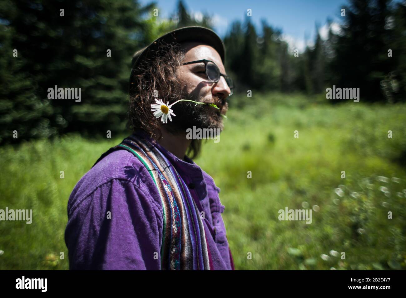 Ein Kerl mit einer Blume im Mund. Ein romantischer Kerl, der eine weiße Gänseblümchen im Mund hält und es seiner Freundin geben wird. Eine niedliche und romantische Szene Stockfoto