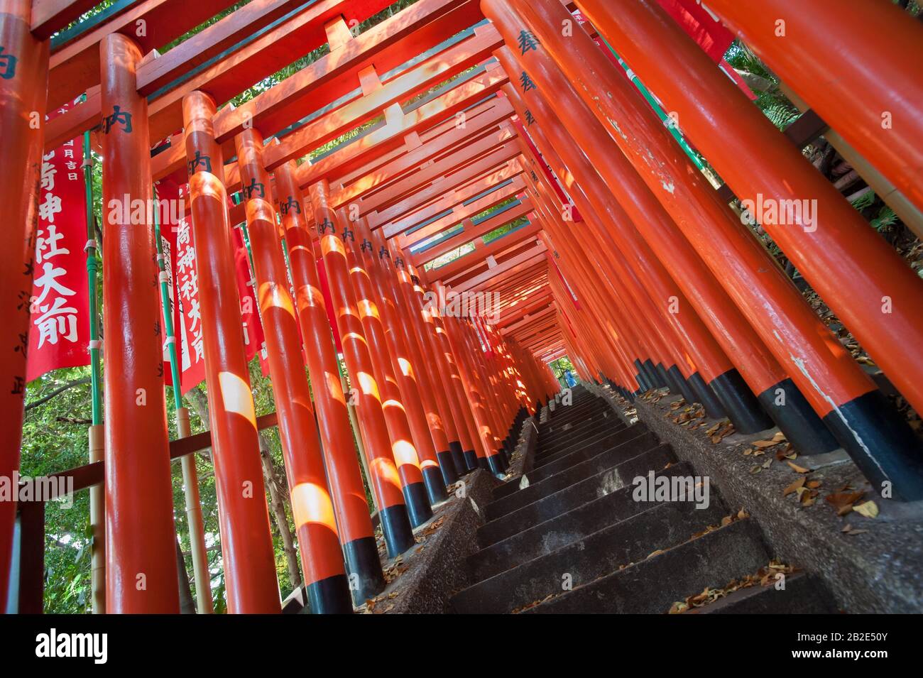 Roter Tortunnel von Torii am Hie Shrine, Akasaka, Tokio Stockfoto