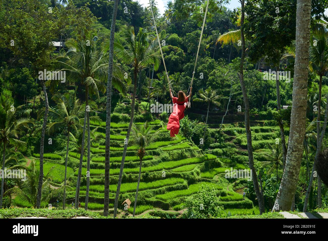 Kaukasische Frau auf großen gekorken Swing hoch über Reisfeld in Bali fliegen Stockfoto