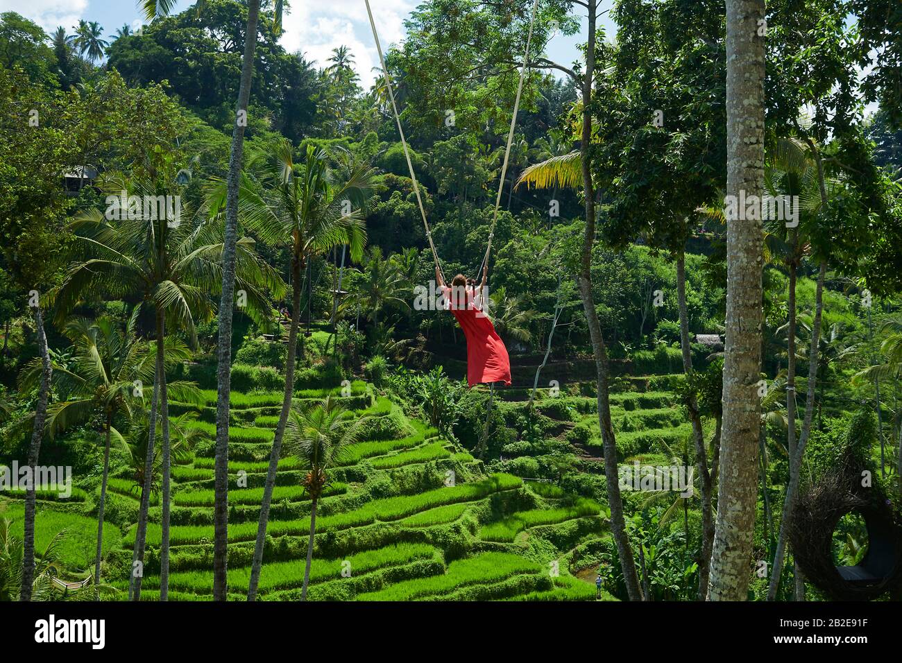 Kaukasische Frau auf großen gekorken Swing hoch über Reisfeld in Bali fliegen Stockfoto
