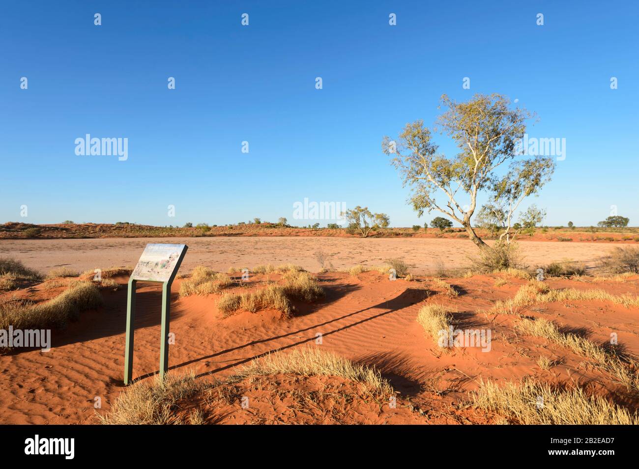 Goldenes Morgenlicht über roten Sandmustern und Tonnapfannen, in der Nähe von Alice Springs, Northern Territory, NT, Australien Stockfoto