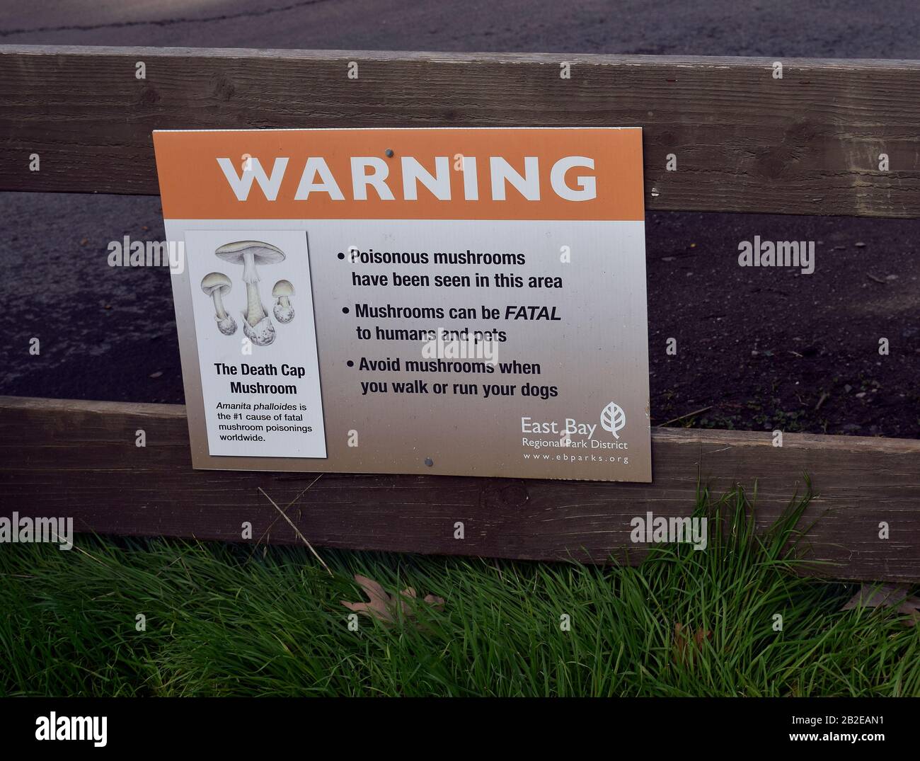 Warnschild über giftige Pilze in einem East Bay Regional Park, Kalifornien Stockfoto