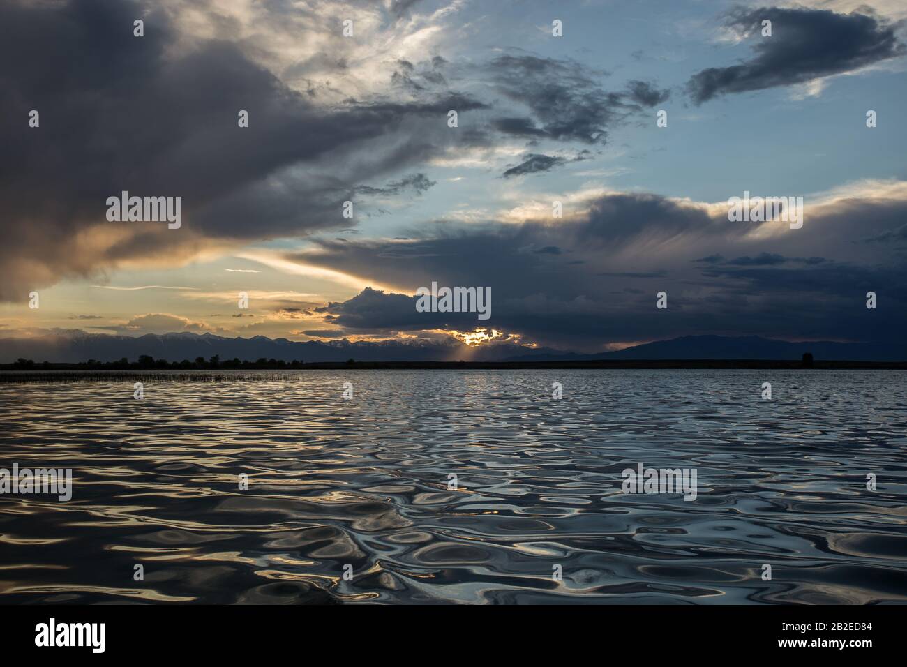 Mud Lake Sunset Stockfoto