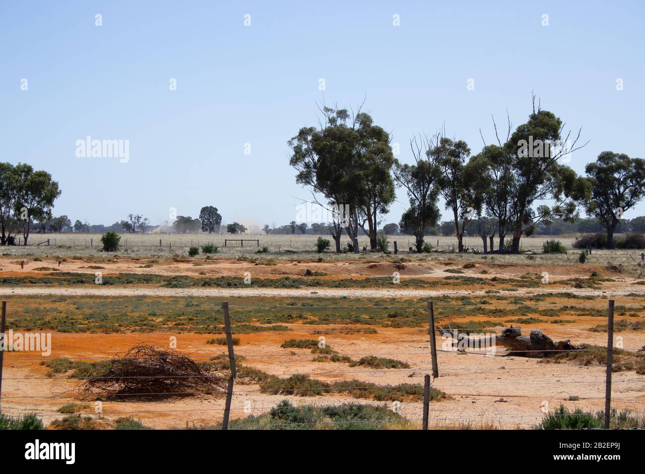 Dürre in der Landschaft, NSW, Australien Stockfoto