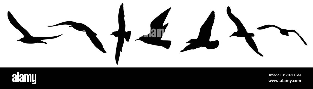 Eine Möllen-Silhouette auf weißem Hintergrund, Vektorgrafiken Stock Vektor