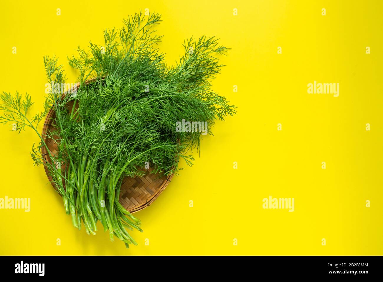 Draufsicht Grün frisch Dill auf gelbem Hintergrund. Platz für Text oder Design kopieren Stockfoto