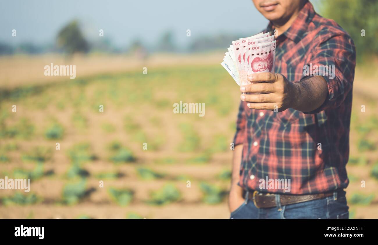 Asiatischer Bauer hält chinesische Banknote (RMB) im Bereich Tabakbaum. Leasing oder Finanzwesen für das Konzept des Landwirts Stockfoto