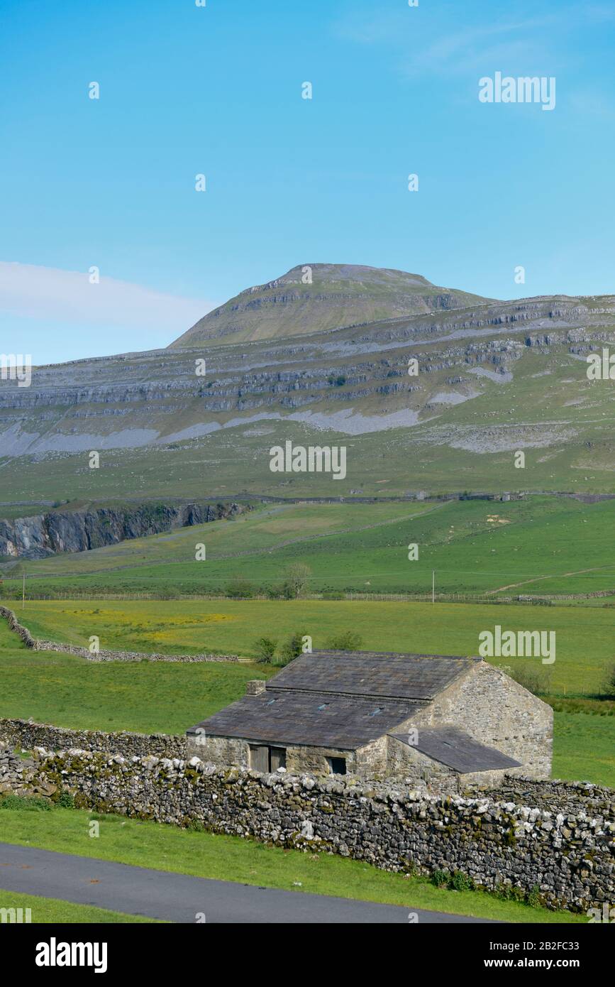 Sommerblick auf Ingleborough, einen der berühmten Drei Gipfel von Yorkshire Stockfoto