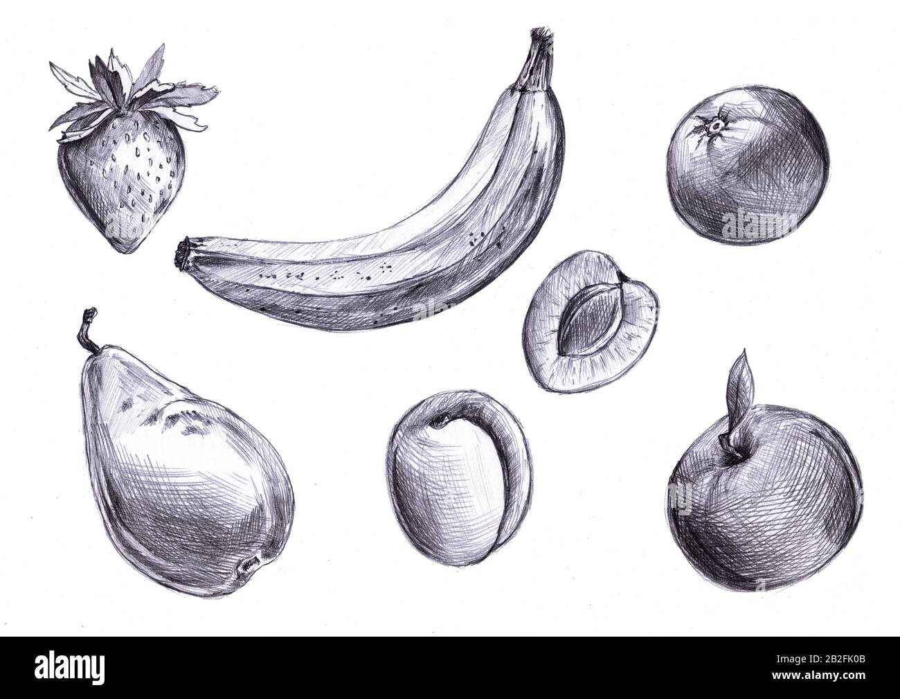 Satz von Bleistift gezeichnete Früchte, Banane, Birne, Aprikose, Erdbeere,  apfel. Freihandzeichnung: Illustration für Verpackungsdesign, eco Natural,  Detox Food Stockfotografie - Alamy