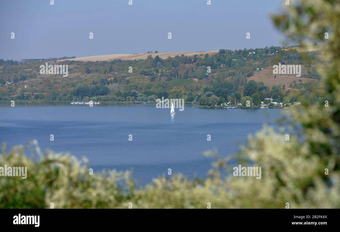 Suesser See, Sachsen-Anhalt, Deutschland Stockfoto