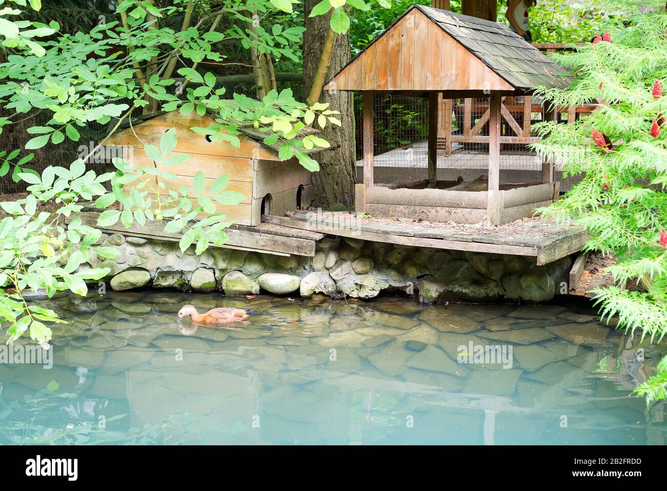 Schwimmendes entenhaus auf dem teich Fotos und Bildmaterial in hoher